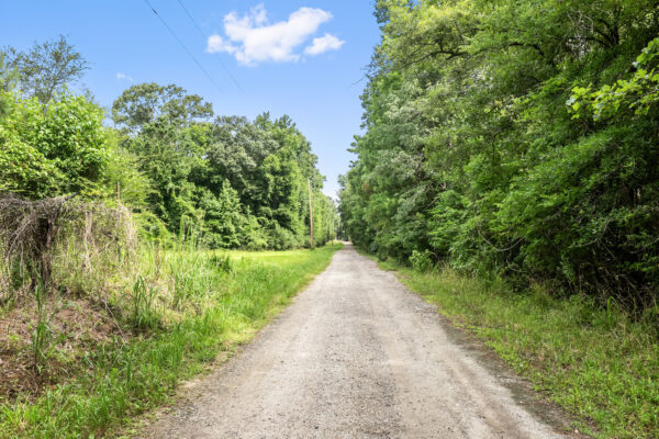 cordesville berkeley county mini farm 32 acres