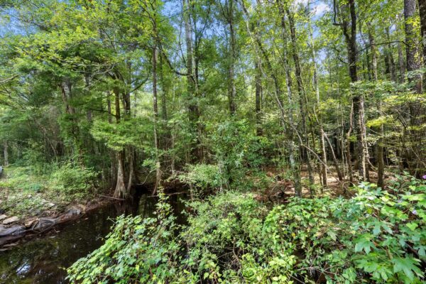 shulerville road berkeley county jamestown vacant land 9 acres